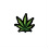 http://i17.photobucket.com/albums/b56/Healing_X_Cuts/Boston_Red_Sox_logo.jpg