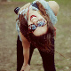 Fayth's Avatar